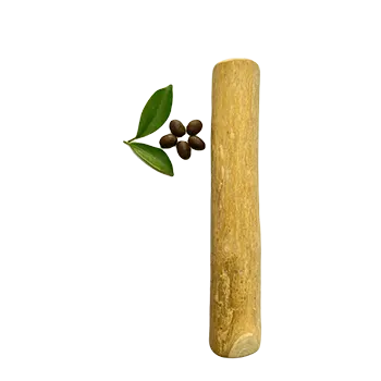 Coffee-wood-chew-sticks-for-dogs-wholesale-natural-dog-toys-sticks-b2b-4w winwin worldwide-vietnam